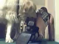 [ Beast XXX ] Amateur livecam white women plays wicked with her dog